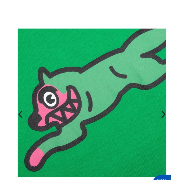 ICECREAM RUM RUNNER S/S TEE
FERN GREEN - Picture 2 of 4